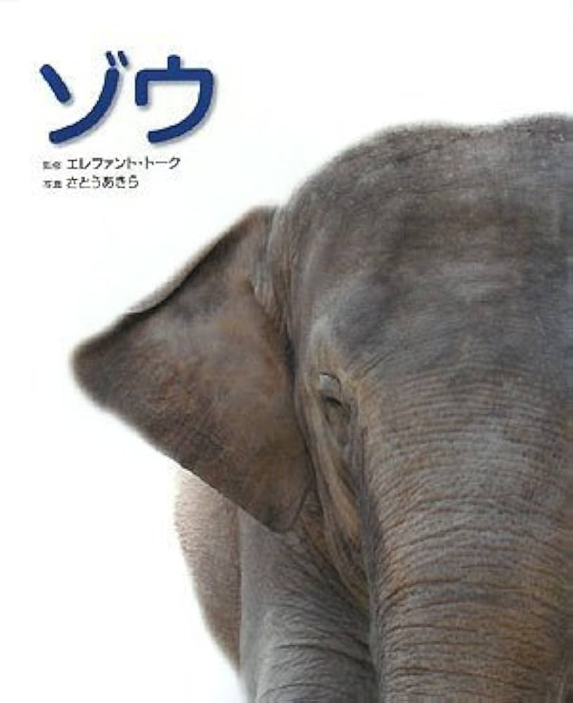 中国　青銅　象　ぞう　ゾウ　レア　美術品　古代　★送料無料☆ 中国 青銅 象 ゾウ ぞう レア 美術品 古代 ☆送料無料☆ 銅製品